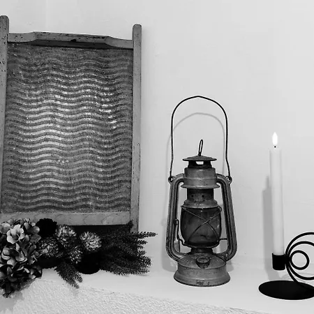 Bike Bliss Pohorje Trails And Wonderful Memories!